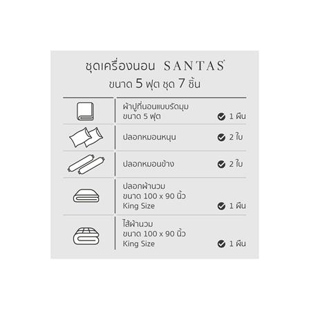 ชุดผ้าปูที่นอน 5 ฟุต 7 ชิ้น SANTAS PASTEL BI_6