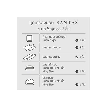 ชุดผ้าปูที่นอน 5 ฟุต 7 ชิ้น SANTAS SPHERIC GR_7