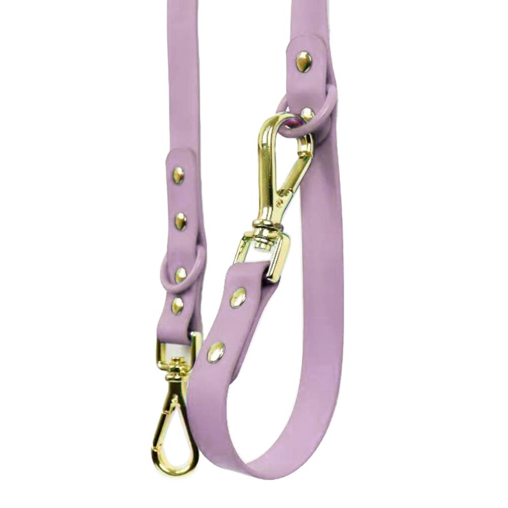 เซ็ตปลอกคอสัตว์เลี้ยง พร้อมสายจูง CLAWSET LET'S GO ไซซ์ S สี Lavender