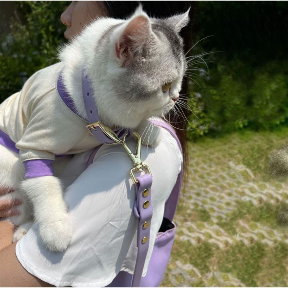 เซ็ตปลอกคอสัตว์เลี้ยง พร้อมสายจูง CLAWSET LET'S GO ไซซ์ S สี Lavender