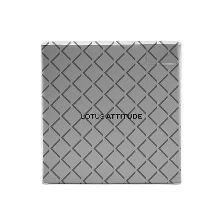 ชุดผ้าปูที่นอน 3.5 ฟุต 3 ชิ้น LOTUS BROOKLYN BR-05W_3