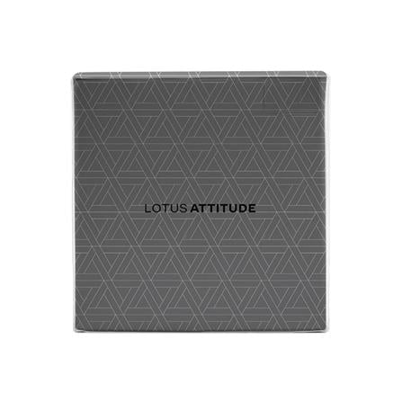 ชุดผ้าปูที่นอน 5 ฟุต 5 ชิ้น LOTUS BROOKLYN BR-01B_3