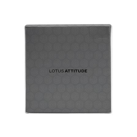 ชุดผ้าปูที่นอน 5 ฟุต 5 ชิ้น LOTUS BROOKLYN BR-02B_3