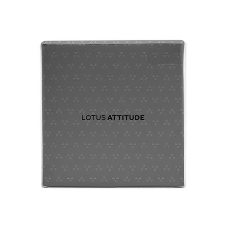 ชุดผ้าปูที่นอน 3.5 ฟุต 3 ชิ้น LOTUS BROOKLYN BR-03B_3