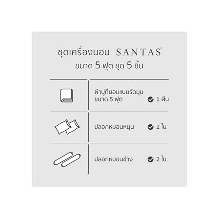 ชุดผ้าปูที่นอน 5 ฟุต 5 ชิ้น SANTAS GROVE GR_6
