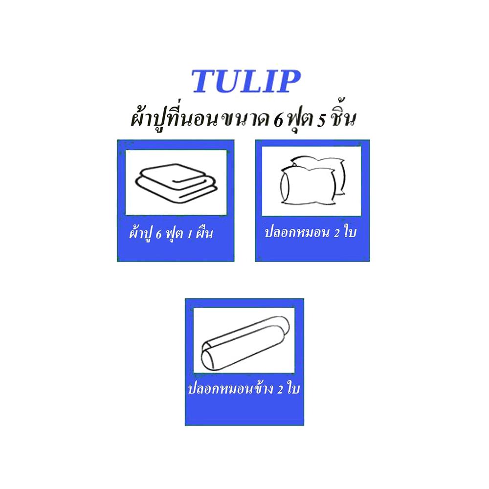 ชุดผ้าปูที่นอน 6 ฟุต 5 ชิ้น TULIP DELIGHT 60056-DL564