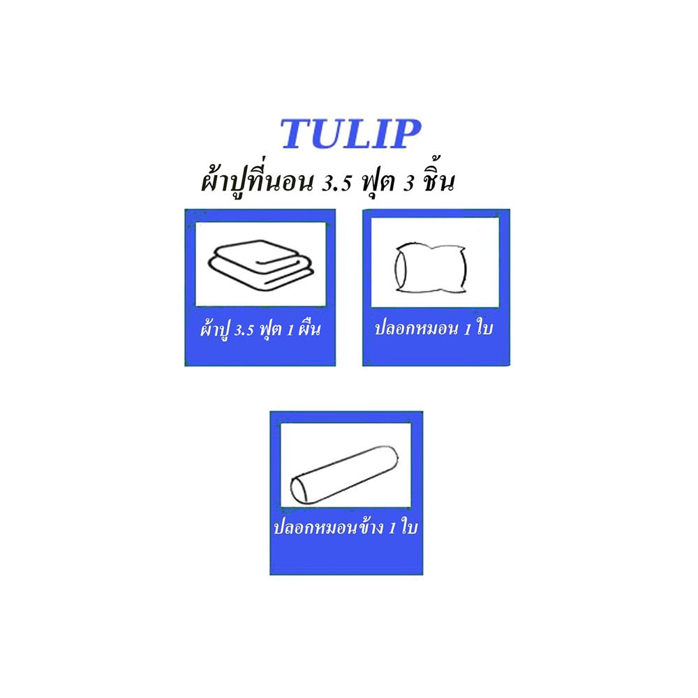 ชุดผ้าปูที่นอน 3.5 ฟุต 3 ชิ้น TULIP DELIGHT 60058-DL564