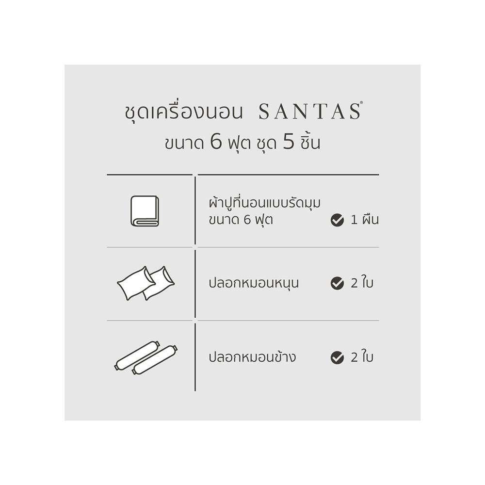 ชุดผ้าปูที่นอน 6 ฟุต 5 ชิ้น SANTAS PLANAR BI