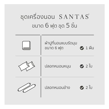ชุดผ้าปูที่นอน 6 ฟุต 5 ชิ้น SANTAS ARTY FLEUR GR_6