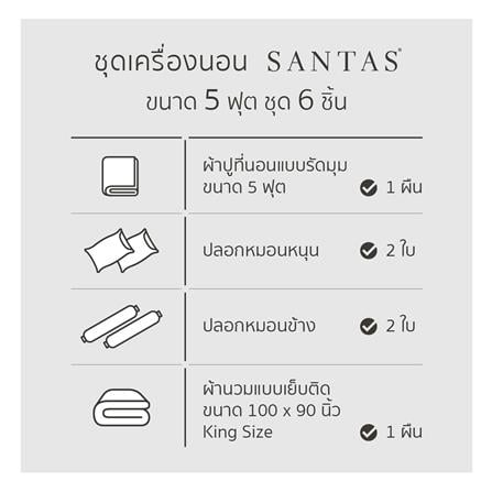 ชุดผ้าปูที่นอน 5 ฟุต 6 ชิ้น SANTAS SPHERE BL_6