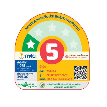 ตู้เย็น 2 ประตู TOSHIBA GR-RT234WE-DMTH(SS) 6.4 คิว สีเงิน_5