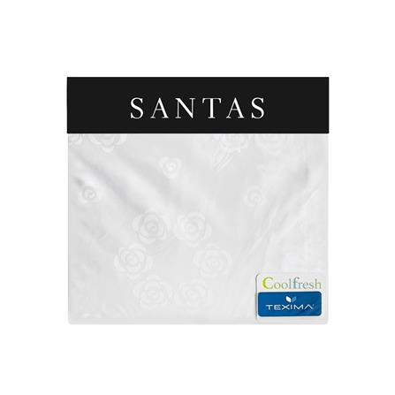 ชุดผ้าปูที่นอน 6 ฟุต 5 ชิ้น SANTAS AMOROUS WH_3