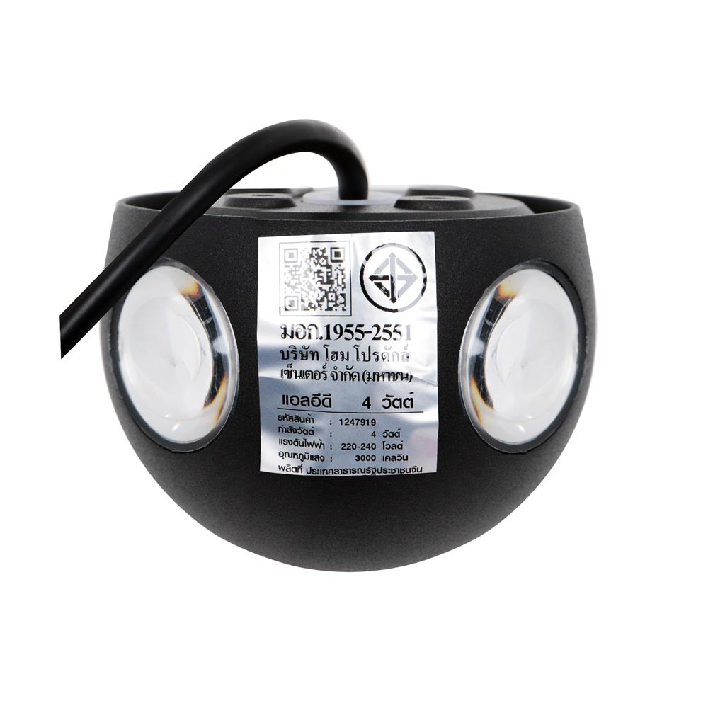 ไฟกิ่งนอก LED CARINI BO-T4101-4 4 วัตต์ WARM WHITE สีดำ