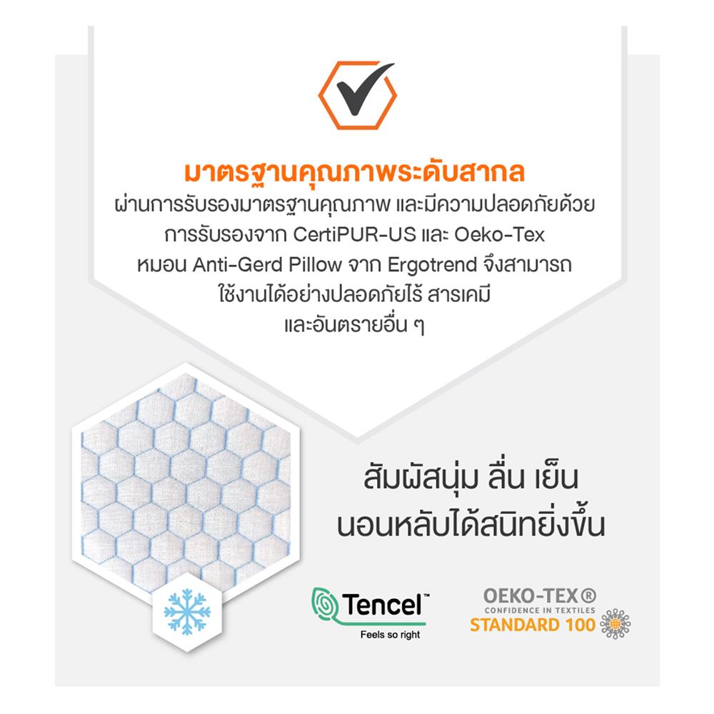 หมอนสุขภาพ ERGOTREND ANTI GERD 60X68X20 ซม. สีขาว