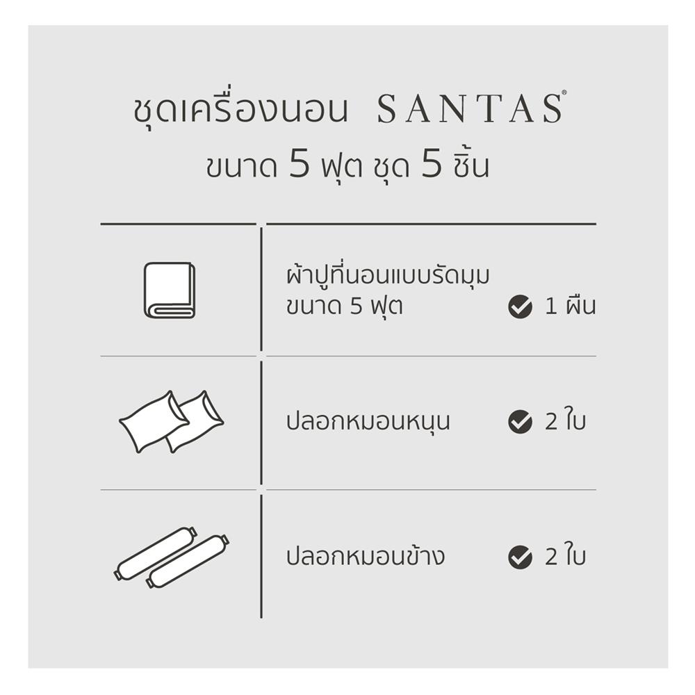 ชุดผ้าปูที่นอน 5 ฟุต 5 ชิ้น SANTAS RUGRATS GR
