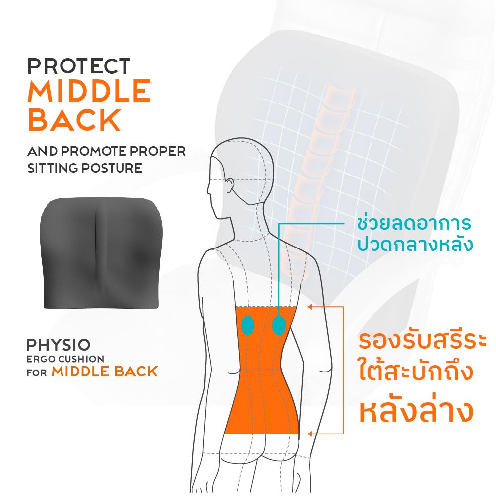 เบาะรองหลัง ERGOTREND MIDDLE BACK 16.5X16.5 นิ้ว สีดำ