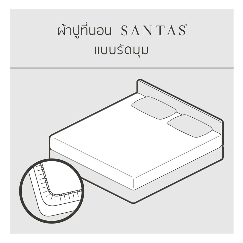 ชุดผ้าปูที่นอน 3.5 ฟุต 4 ชิ้น SANTAS CANDY LUSH GN