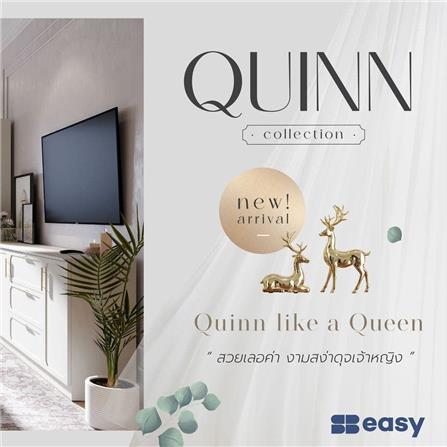 เตียง 3.5 ฟุต SB FURNITURE QUINN 19228840 สี MAGIC GREY_4