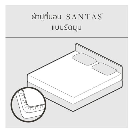 ชุดผ้าปูที่นอน 5 ฟุต 10 ชิ้น SANTAS TWEEDIA GR_5