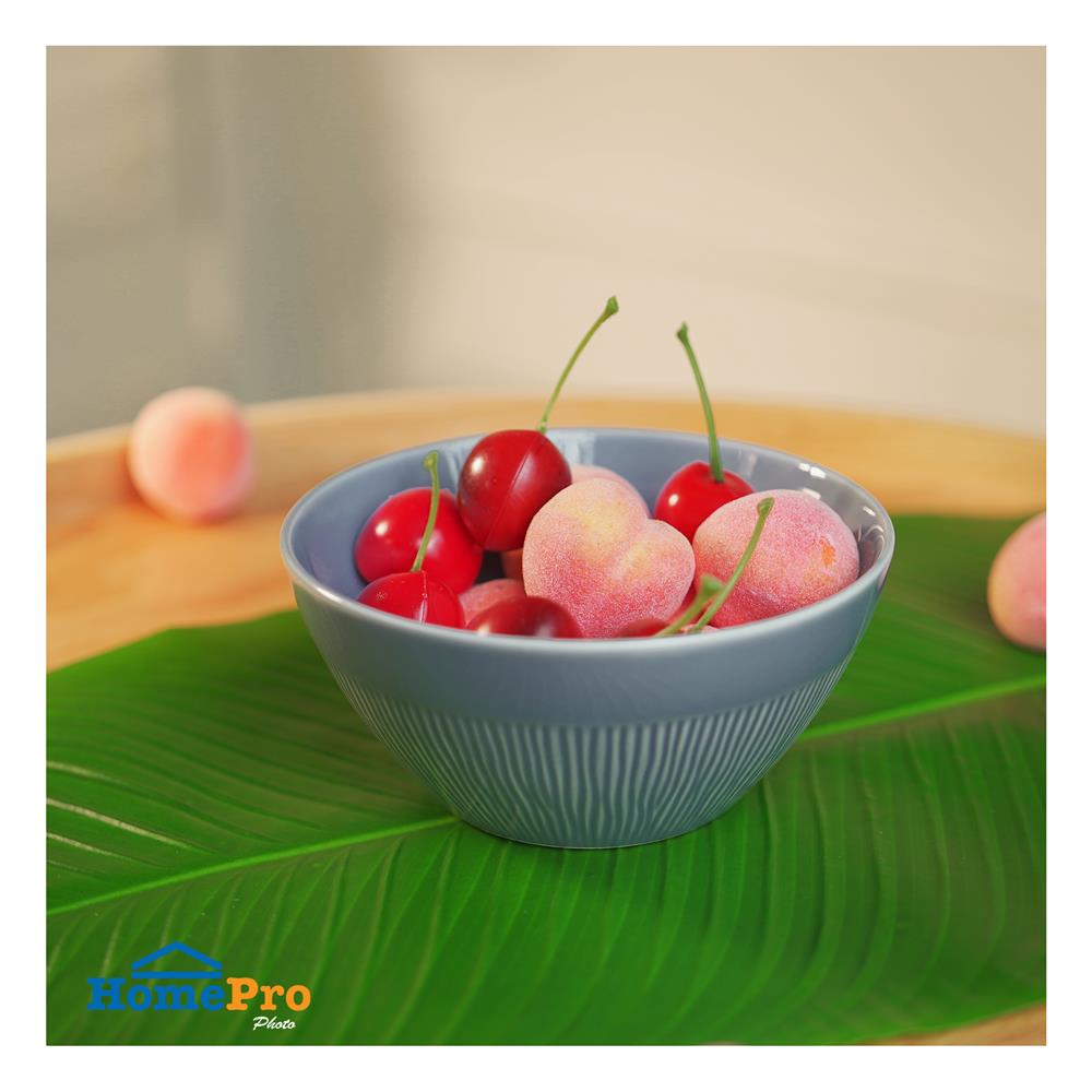 ชาม FINE PORCELAIN 5 นิ้ว KECH NEO SILK BABY DENIM