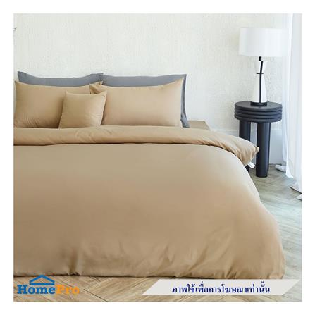 ผ้านวม FACINO SOLID 60X80 นิ้ว SF072_3