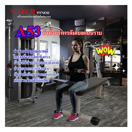ม้าบริหารร่างกาย V-TECH A53_4