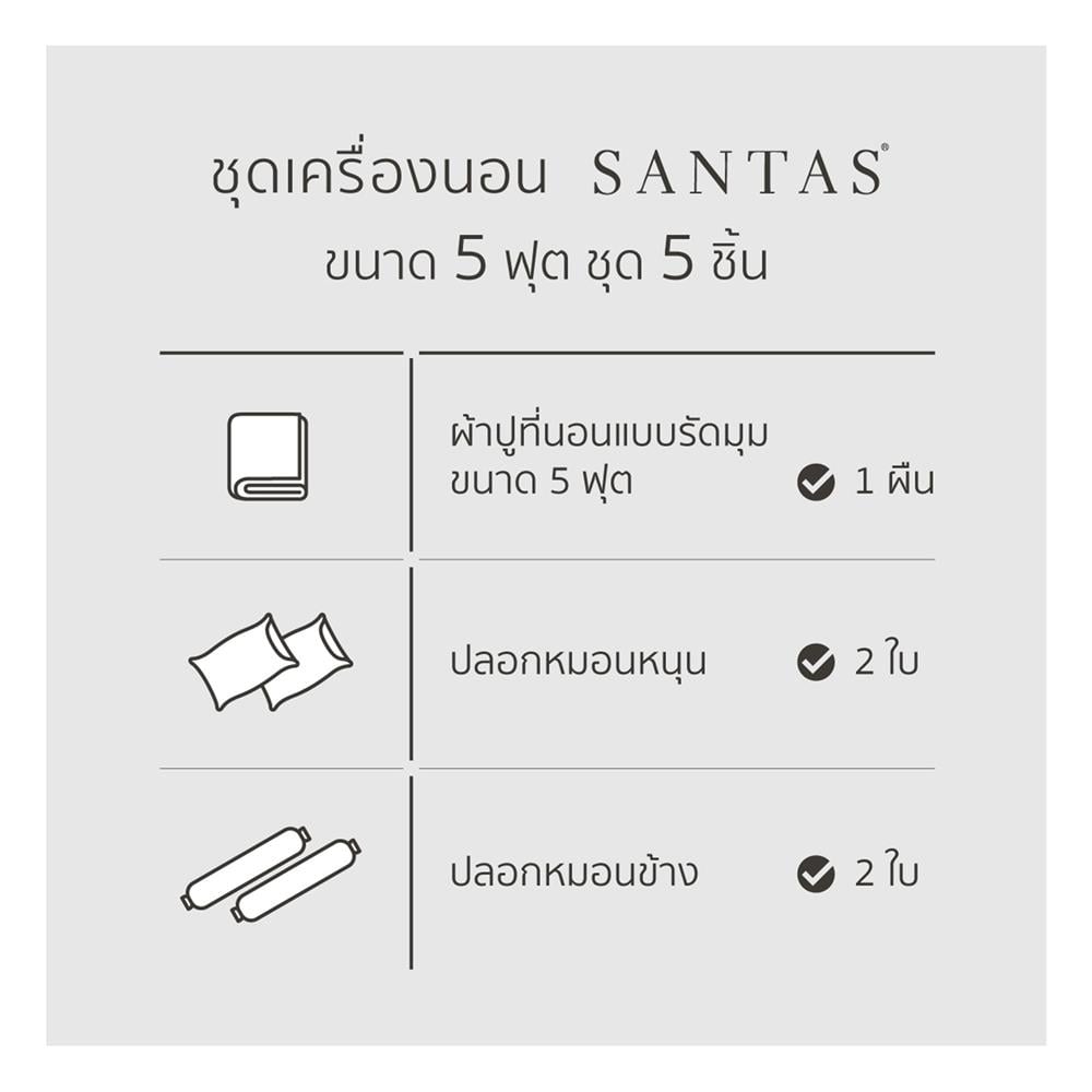 ชุดผ้าปูที่นอน 5 ฟุต 5 ชิ้น SANTAS GLLEAM BI