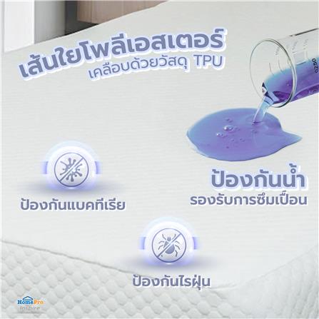 ผ้ารองกันเปื้อนเคลือบกันน้ำ QUEEN SIZE HOME LIVING STYLE LUNAR สีขาว_6