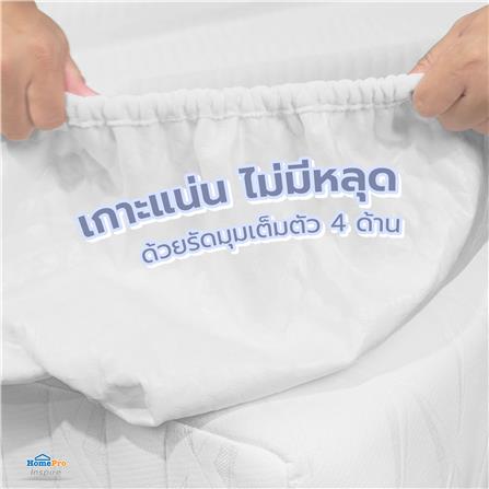 ผ้ารองกันเปื้อนเคลือบกันน้ำ QUEEN SIZE HOME LIVING STYLE LUNAR สีขาว_7