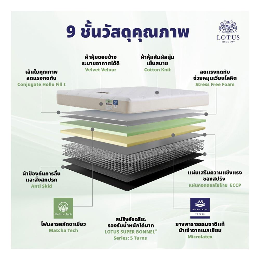 ที่นอน 5 ฟุต LOTUS RENOA I พร้อมหมอนหนุน 2 ชิ้น