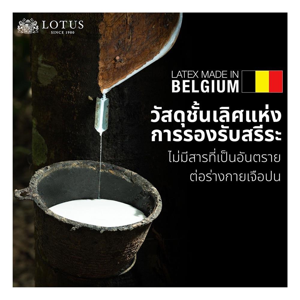 แผ่นรองนอน 3 ฟุต LOTUS FODEN สี NAVY BLUE