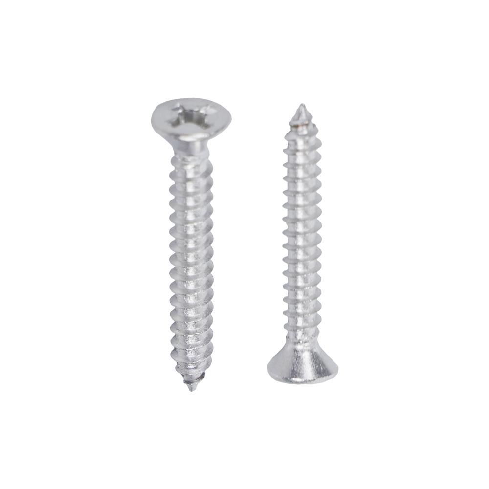 สกรูเกลียวปล่อย TF DEXZON 6x1 นิ้ว (แพ็ก 25 ชิ้น)