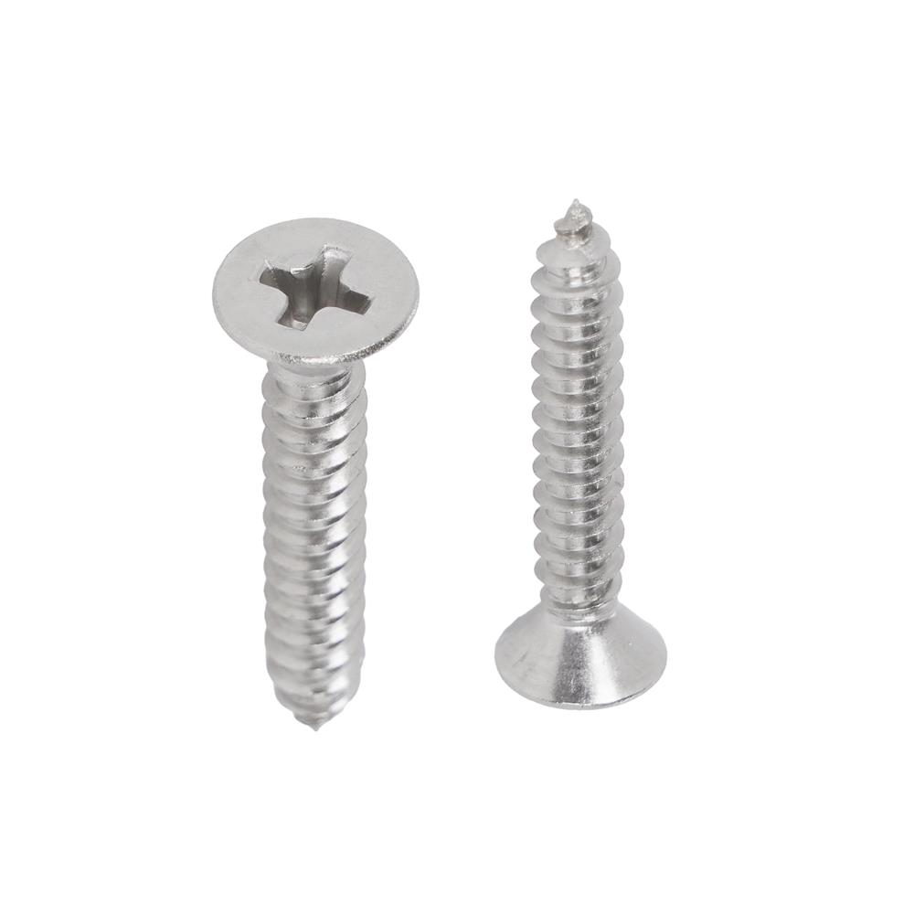 สกรูเกลียวปล่อย TF DEXZON 8x1 นิ้ว (แพ็ก 25 ชิ้น)