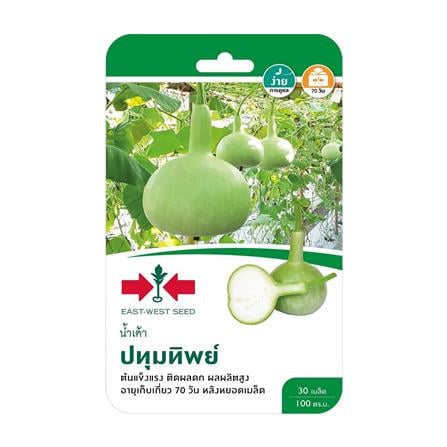เมล็ดพันธุ์น้ำเต้า ปทุมทิพย์ ศรแดง_0