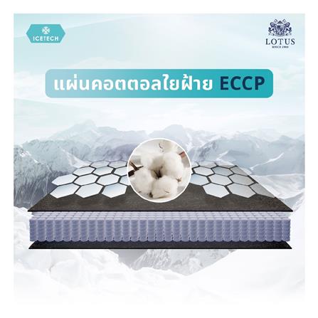 ที่นอน 3.5 ฟุต LOTUS ARCTIC ZEN พร้อมชุดเครื่องนอน 7 ชิ้น_13