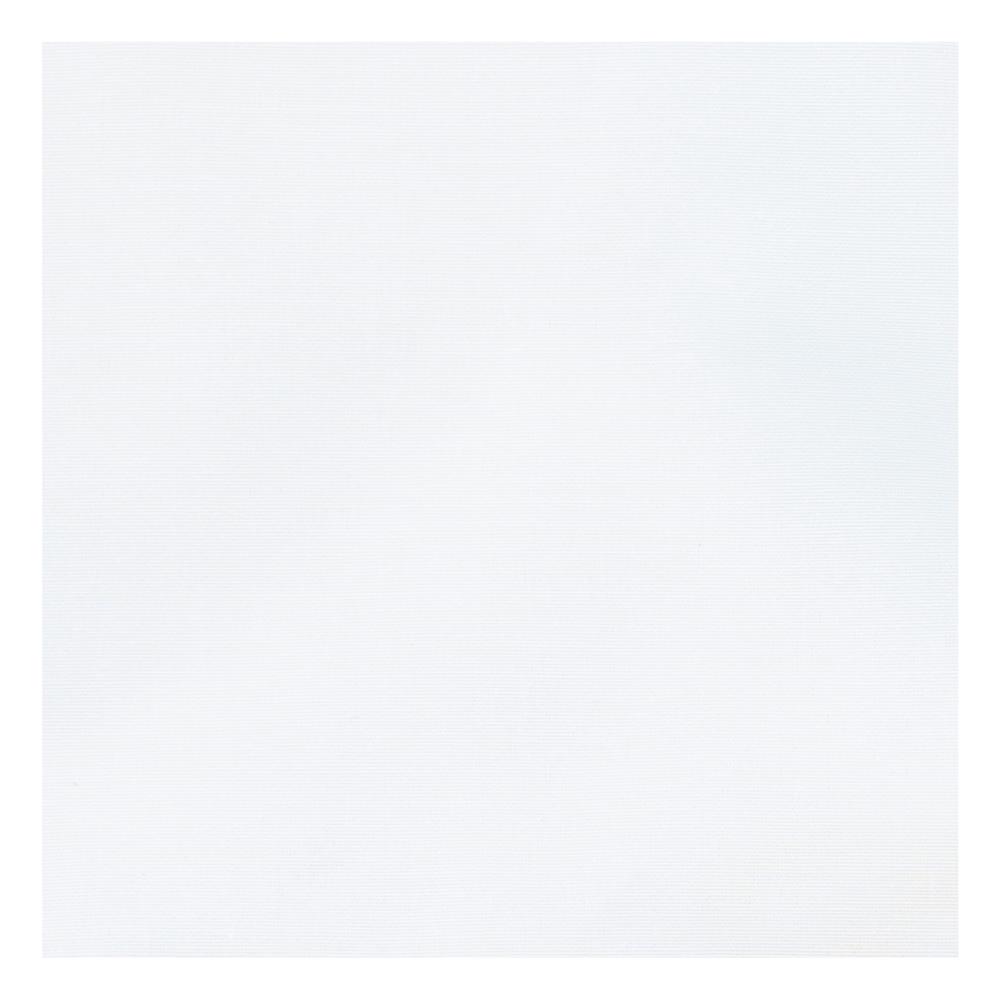 ผ้าปูที่นอน PICASSO CT SOLID 84X110 นิ้ว สีขาว