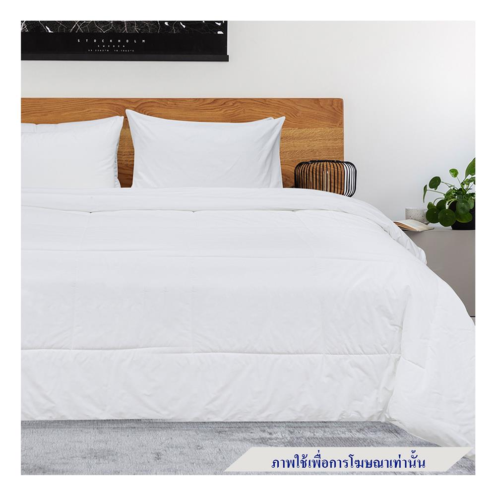 ผ้าปูที่นอน PICASSO CT SOLID 84X110 นิ้ว สีขาว