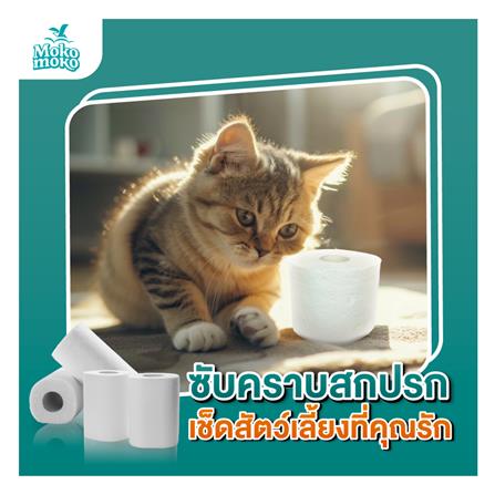กระดาษชำระ MOKO MOKO (แพ็ก 24 ม้วน)_1