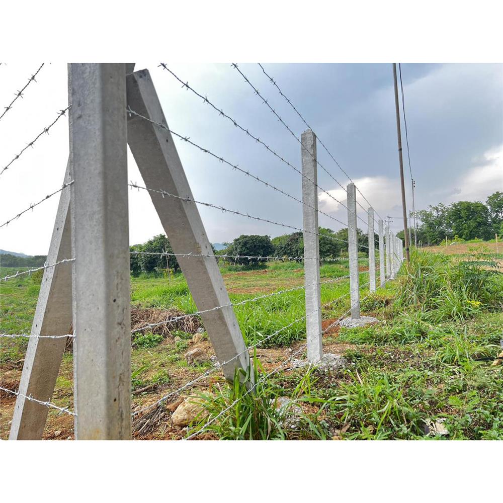 เสารั้วอัดแรง 3 นิ้ว เสริมเหล็ก GC 7.5x7.5x200 ซม.