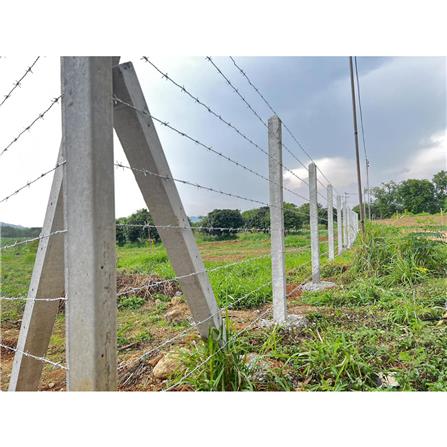 เสารั้วอัดแรง 3 นิ้ว เสริมเหล็ก GC 7.5x7.5x200 ซม._2