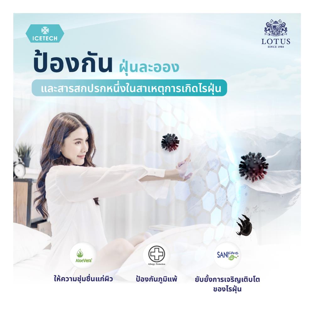 แผ่นรองนอน 5 ฟุต LOTUS REGIS II