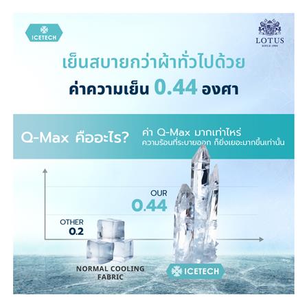 แผ่นรองนอน 5 ฟุต LOTUS REGIS II_10