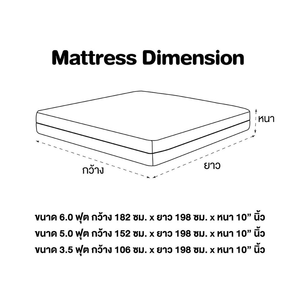 ชุดที่นอน 5 ฟุต และ 3.5 ฟุต SERA FAMILY