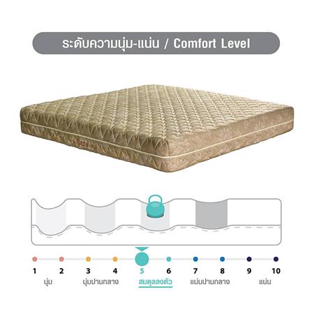 ชุดที่นอน 5 ฟุต และ 3.5 ฟุต SERA FAMILY_4