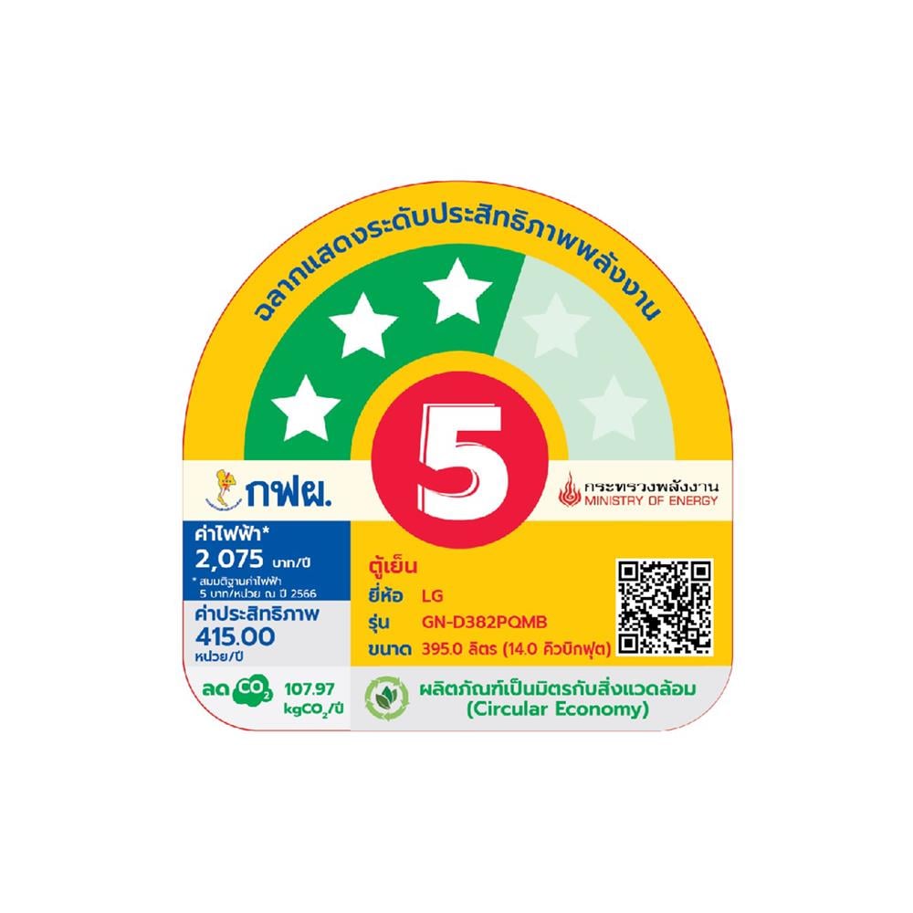 ตู้เย็น 2 ประตู LG GN-D382PQMB.ADSPLMT 14 คิว สีเทา อินเวอร์เตอร์