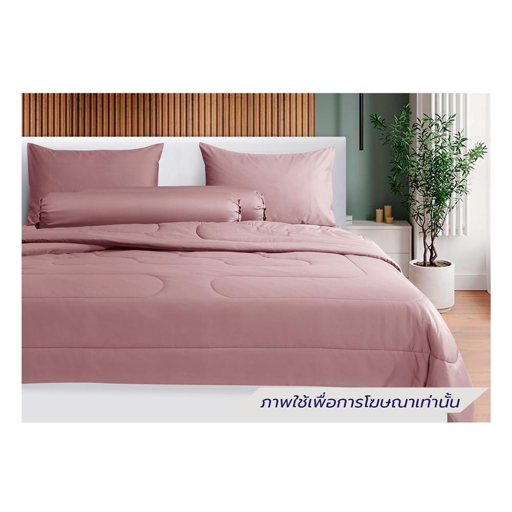 ชุดผ้าปูที่นอน 5 ฟุต 5 ชิ้น STEVENS COTTON FRESH SATEEN KY07PL