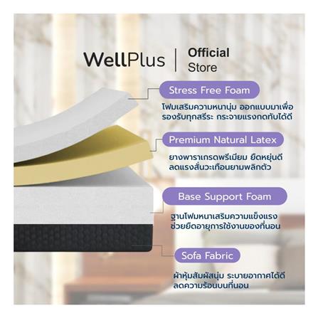 ที่นอน 6 ฟุต WELLPLUS CHET_2