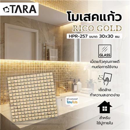 โมเสคแก้ว 30x30 ซม. TARA HPR-258 ริโก โกลด์_10