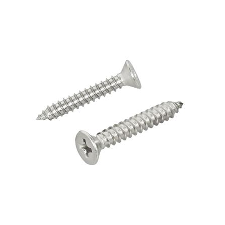 สกรูเกลียวปล่อย TF DEXZON 7x1 นิ้ว 25 ตัว_0