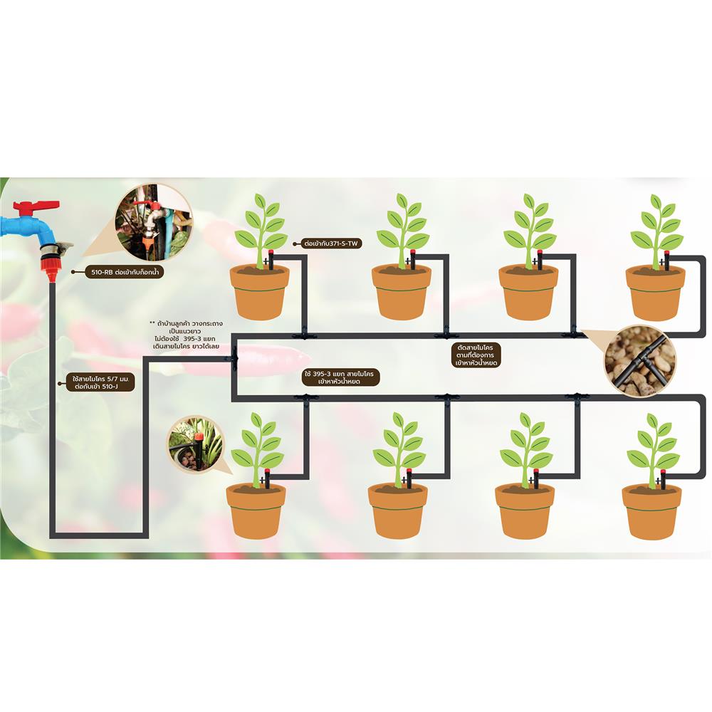 ชุดขาปักรดน้ำ ผักสวนครัวและไม้กระถาง SPRING